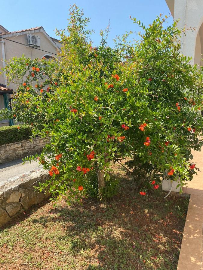 Apartmani Ana Borovac Funtana Ngoại thất bức ảnh